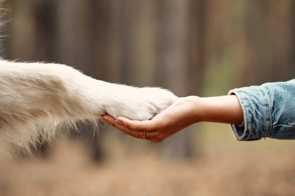 Achieving Optimal Health in Humans and Pets