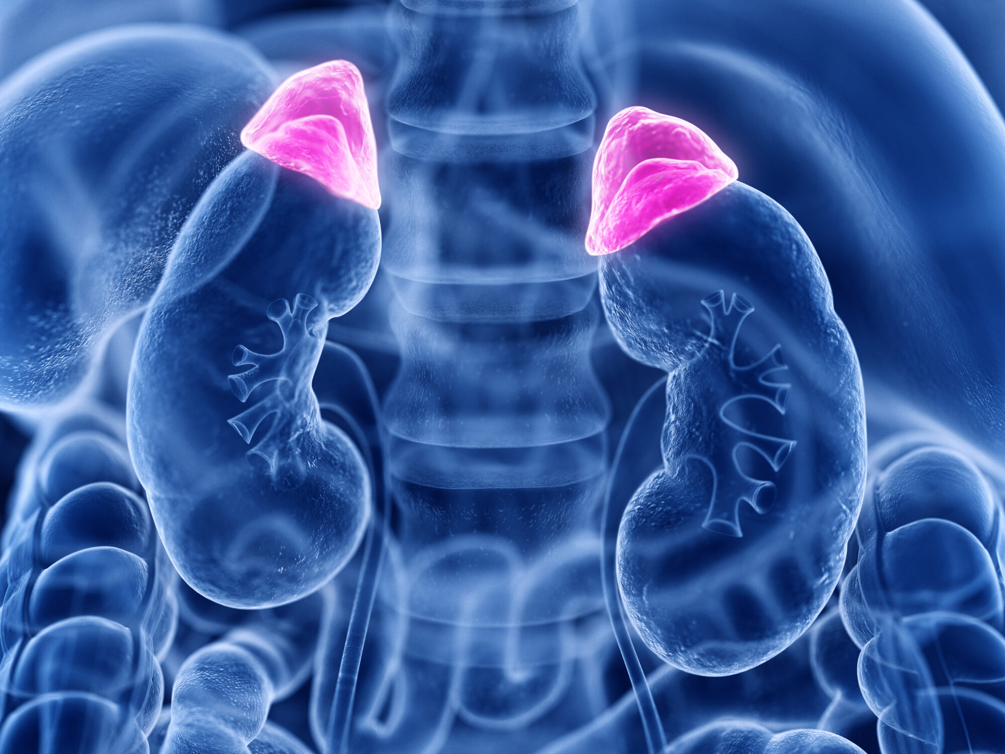 Struggling to Lose Weight? The Real Problem Might Be Adrenal Fatigue!